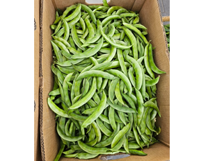 Broad Beans