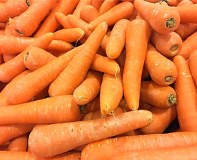 Carrot