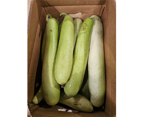 Bottle Gourd — White