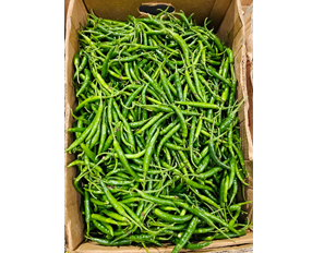 G4 Chilli — India