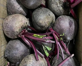 betroots