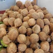 Semi-Husked Coconut