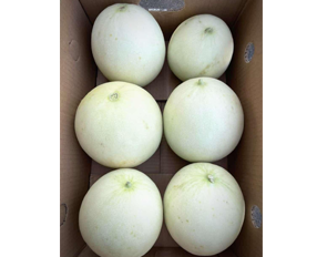 honey-melon