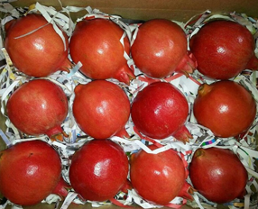 Pomegranate
