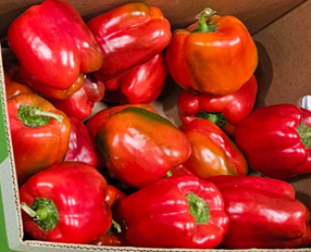 Colour Pepper — Red