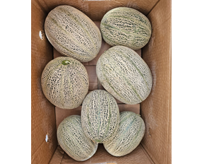 Rock Melon