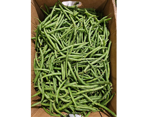 Short Beans