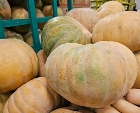 sweet-melons