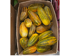 Vellari — India