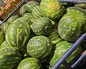 Watermelon